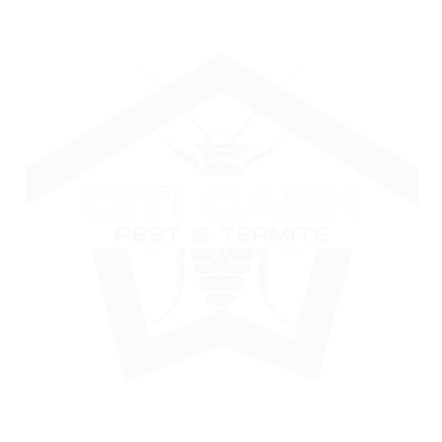 Citi Cash Pest